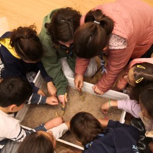 Setmana de la ciencia taller Arqueolab