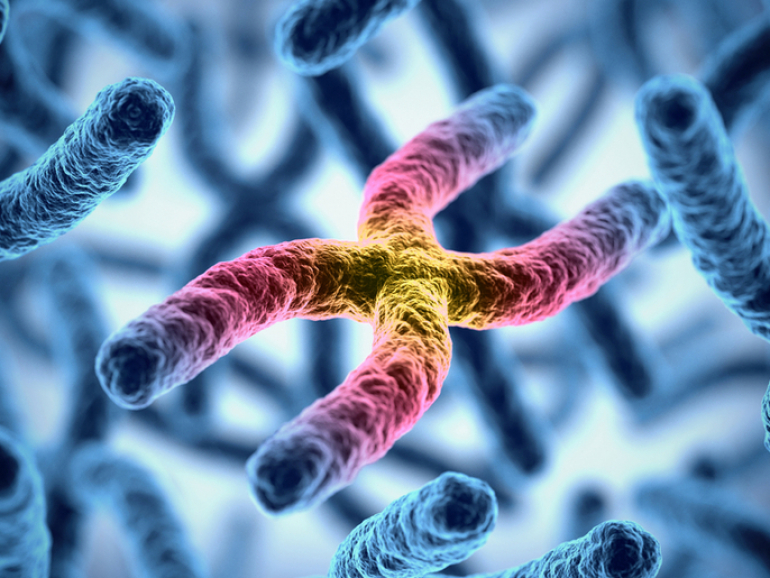 genetico_rectangular